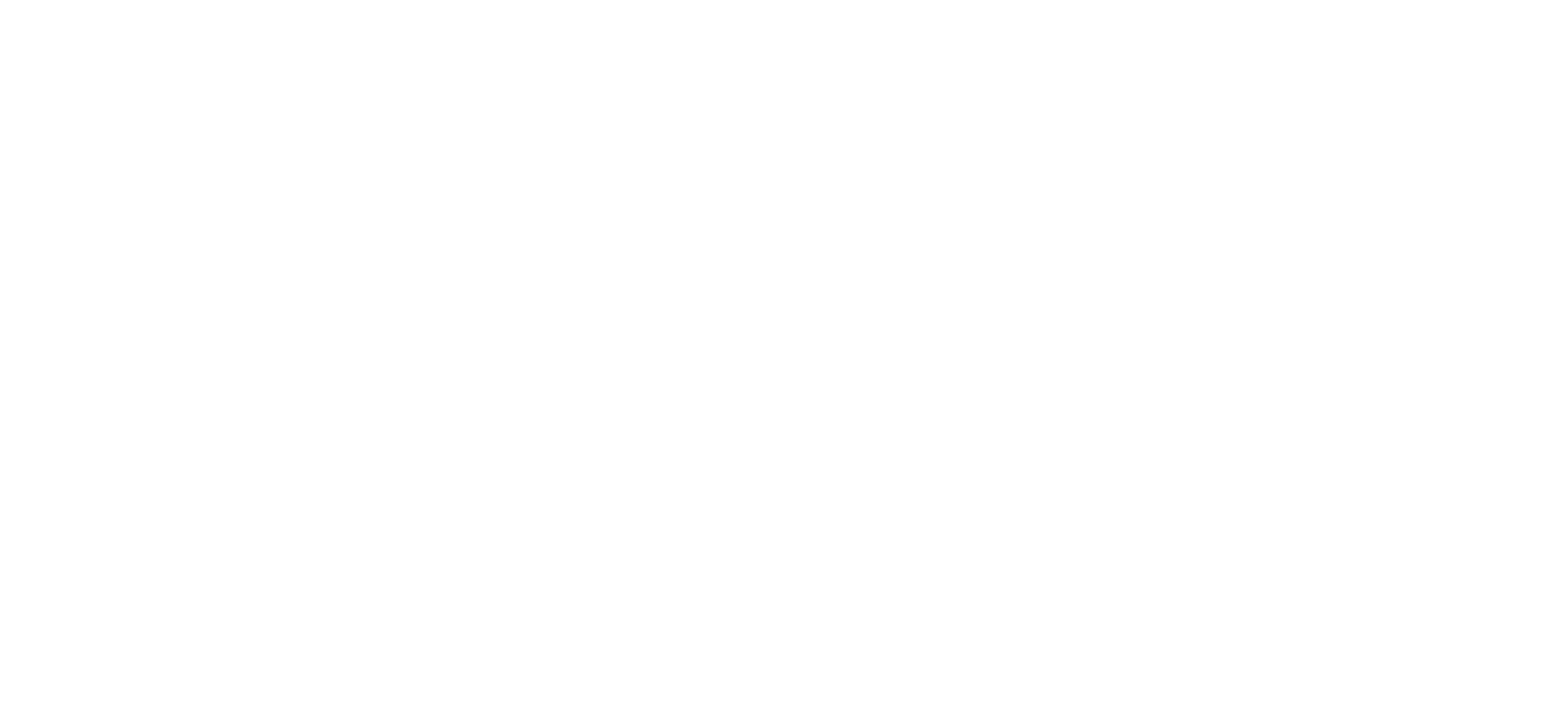 CAMH Foundation logo